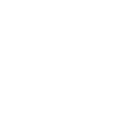 Fibre Networking icon